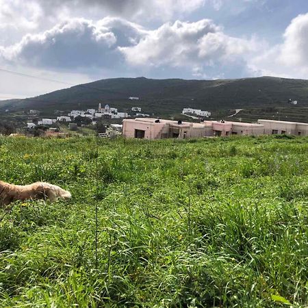 Afrodite Hotel Tínos Eksteriør bilde