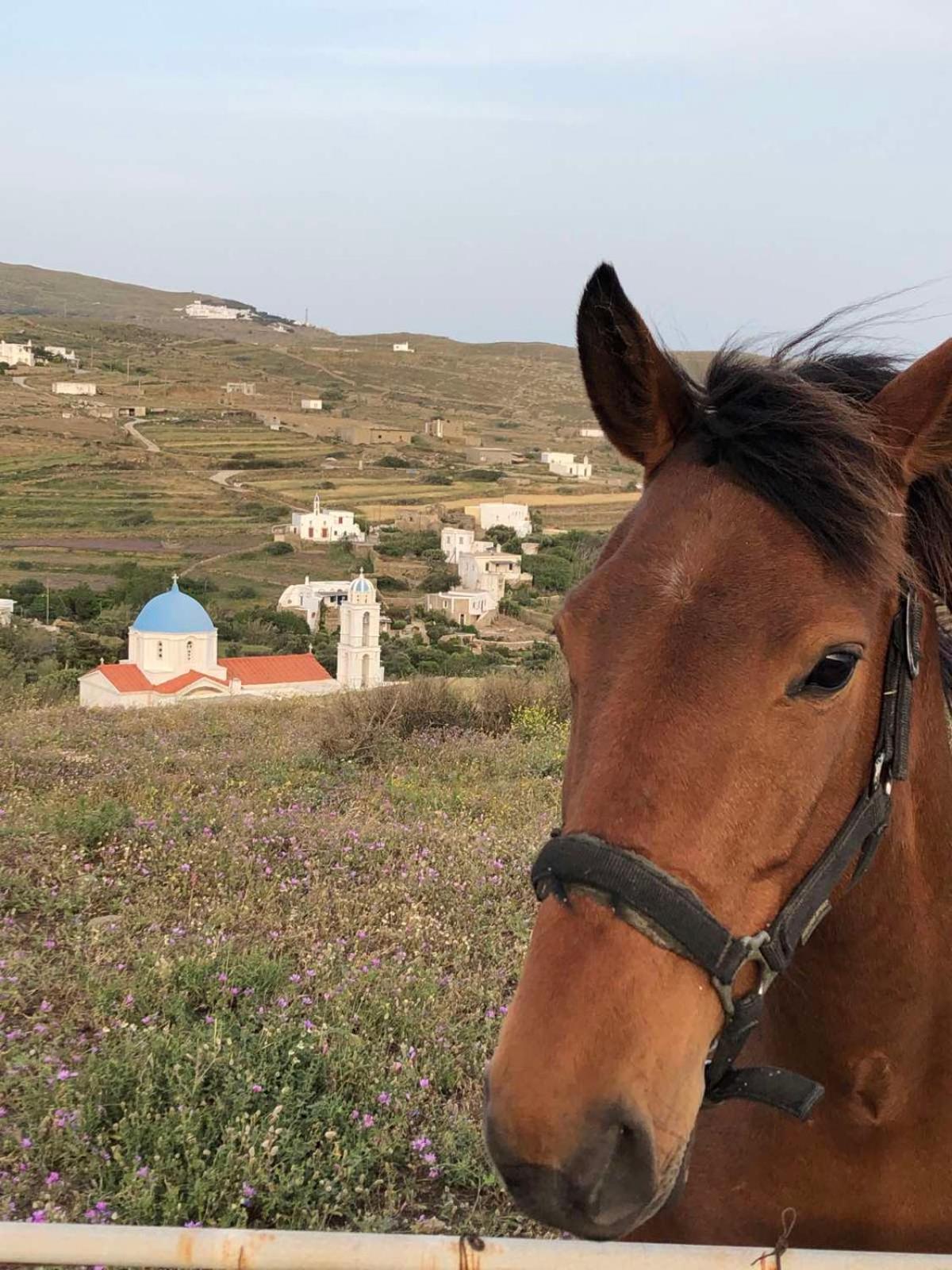 Afrodite Hotel Tínos Eksteriør bilde
